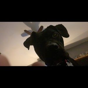 Meet your Posher, Tyler